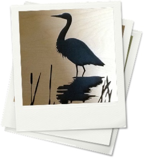 Wading Stork 1: