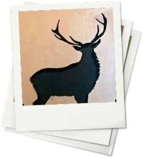 Stag2: