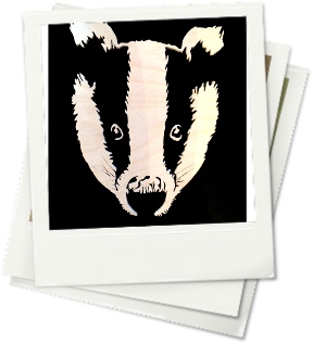 Badger 2: